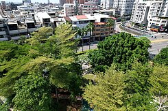 (降)西區科博館面公園震後獨棟大別墅盡享都市綠洲