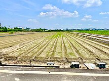 橋頭★臨路面寬12米優良水稻田農地┃近高雄大學