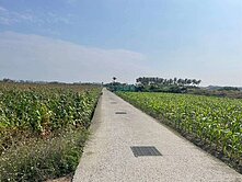 近新吉都計內便宜農地稀有釋出