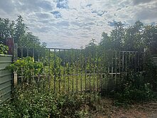 大樹區姑山國小20米路上農地