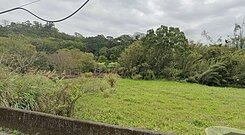 ☘️新竹橫山市區大肚國校旁都計內建地☘️投資價首選