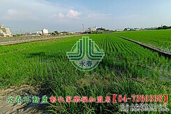 【彰化永春】秀水近文祥國小角田
