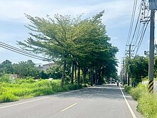 (專)仁德二橋段文賢路特農美農地