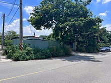 🌳🌳單元一稀有農地🌳🌳