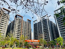 💕2020💕大二房最美樹梢就在眼前