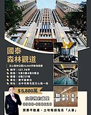 國泰森林觀道，綠海首排，眺望森林公園