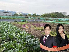 房仲夫妻推薦樹林柑園吉地
