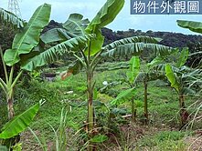 ☪超低總價ღ八連溪小農地