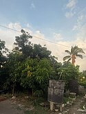 林園退休建地
