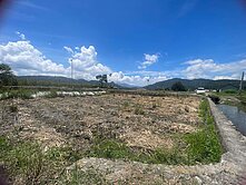 專任埔里双吉段臨路筊白筍小坪數農地