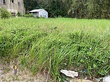 造橋台13甲旁美地