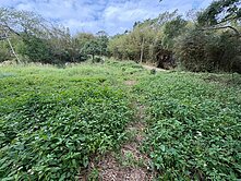 苗栗市南勢坑丙建+農地