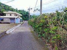 ✨【仁山絕美仙境・農建地+農舍】✨