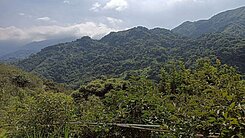 專任山城柿外桃園有水有電現成休閒果園