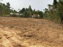  高樹鄉廣興村農地	29794