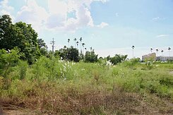 專任霧峰亞洲大學旁丁種工業用地