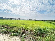 官田近嘉南球場旁方正農地
