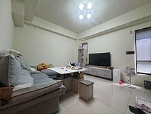 🍎新光田特區大地坪別墅