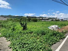昕選好屋 ❤苗栗三義✔大面寬農地