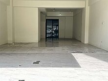 仁武灣北重劃區全新百坪電梯車墅