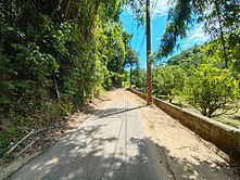 台南市左鎮區山豹段373坪休閒果園農地