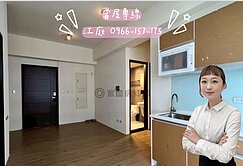 高鐵國際城2房平車