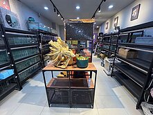 🔥內壢商業區店住合一車位+花園