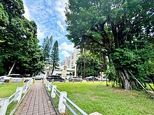 黎明新村 稀有邊間釋出 前面保留小庭院