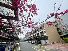 ２１遠薦∣✨７年屋✨日光郡✨兩房雙衛浴
