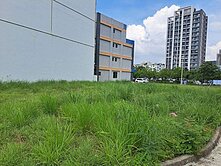 ✿永慶經國致勝✿新埔重劃區建地大坪數方正角地✿