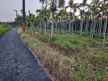 屏東新埤南豐農保地,稀有釋出--埤79農品泰