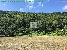 專售-壽豐山坡農地