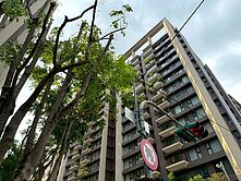 🔥太平新光★鉅虹建設★大三房平車~室內30坪🔥
