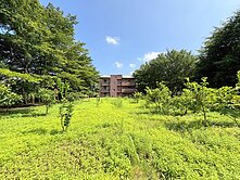 🍎尊榮顯貴🍎天母獨棟電梯美墅★住商游佳諭