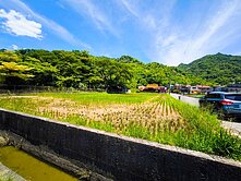 美濃市三角窗農地✅有水✅有電 Ａ++❤️