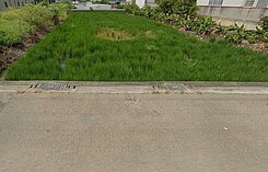 🍎沙鹿鹿寮方正建地🏆