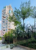 冠德建設電梯宅｜靜巷純住宅・高樓美裝潢🌿