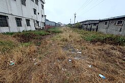 🌺梧棲關聯方正工業地🏆
