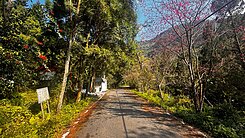 新竹內灣大坪土地