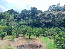 109龜山保護區平坦農地