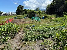 冬山群英段都計內保護區已公告徵收農地