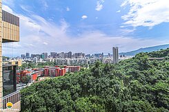 獨家服務★呼吸國家公園第一口空氣高樓綠意附平車