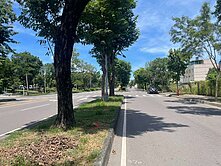 義大醫院都內農地-4
