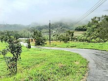 鈞鈞中部離塵不離城｜仙境級｜大自然景觀生態渡假農場