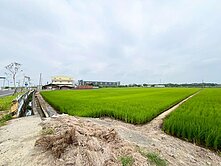 新港新民路正路邊農地