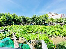 小港坪鳳段稀有 大坪數建地投資首選