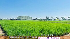 【水上82交流道旁】方正農地農電+井水+貨櫃屋