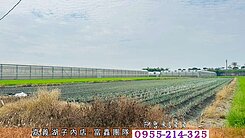 水上南靖農地⭐近產業園區⭐近82快道⭐有井水農電
