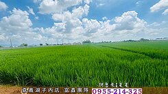 絕版稀有！台積電鄰居！縣府重劃區旁小農地