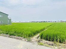 🧑🏻‍🌾民雄田中央優質農地🧑🏻‍🌾
